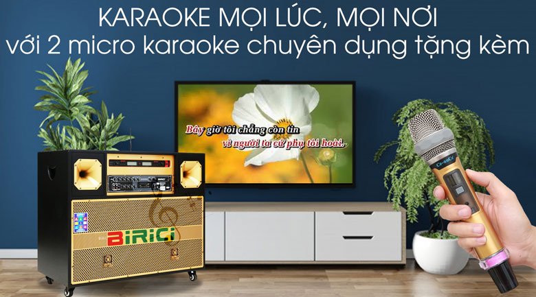 Loa điện Karaoke Birici MX-700 450W - Karaoke